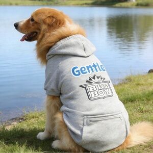 Big Boy Gray Dog Hoodie